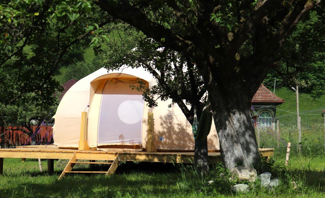 Flore'S Garden Glamping Бран Экстерьер фото