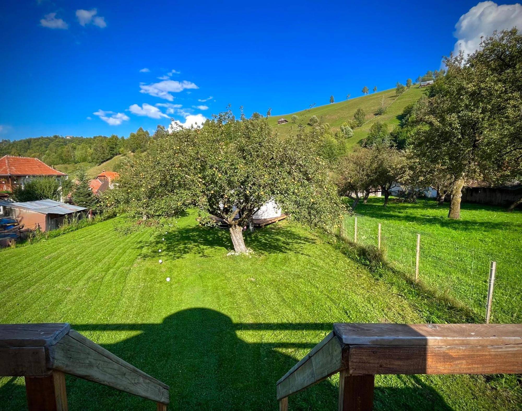Flore'S Garden Glamping Бран Экстерьер фото